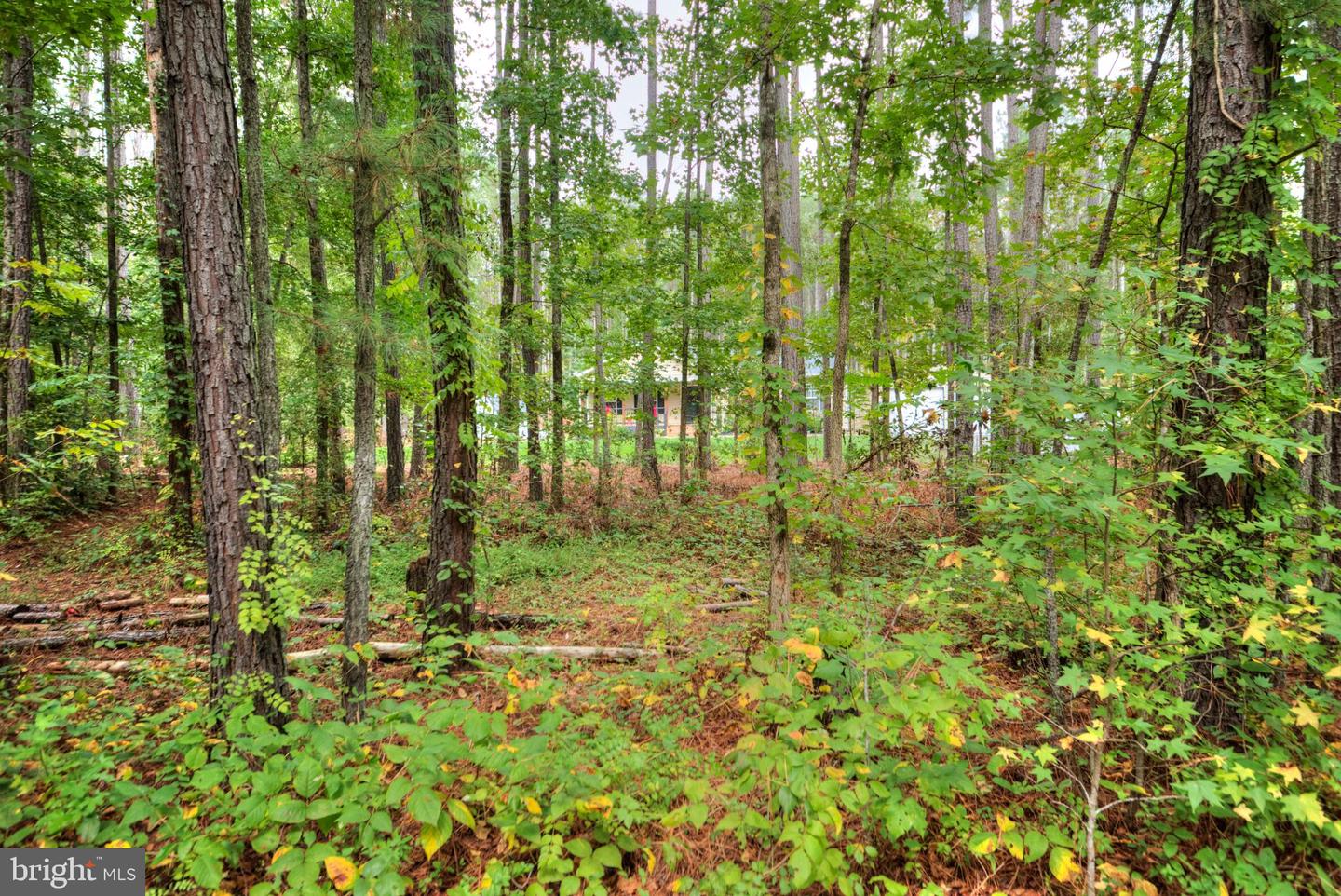 2635 BUMPASS RD, BEAVERDAM, Virginia 23015, 3 Bedrooms Bedrooms, 5 Rooms Rooms,2 BathroomsBathrooms,Residential,For sale,2635 BUMPASS RD,VALA2008664 MLS # VALA2008664