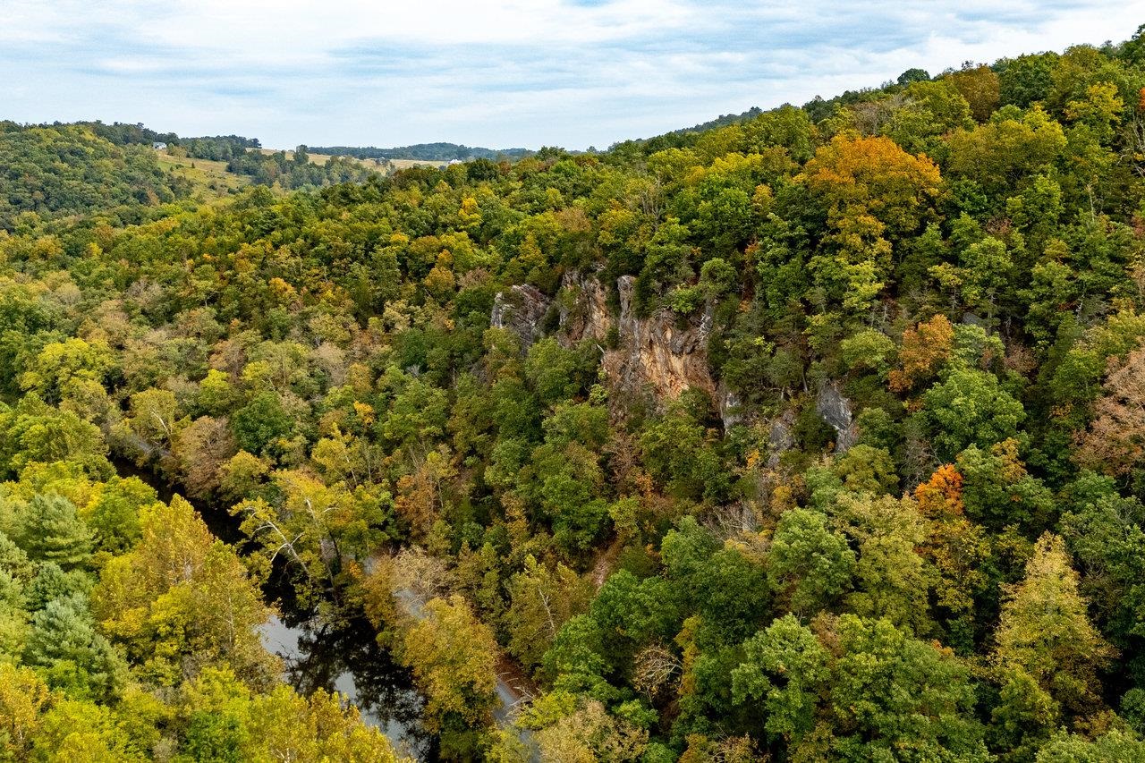 TBD BALD ROCK RD, VERONA, Virginia 24482, ,Farm,TBD BALD ROCK RD,669541 MLS # 669541