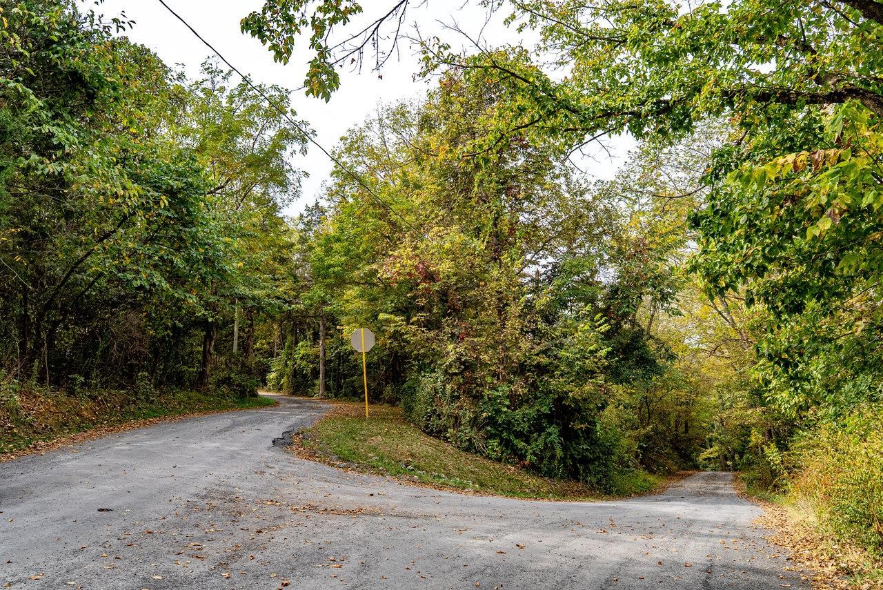 TBD BALD ROCK RD, VERONA, Virginia 24482, ,Farm,TBD BALD ROCK RD,669541 MLS # 669541