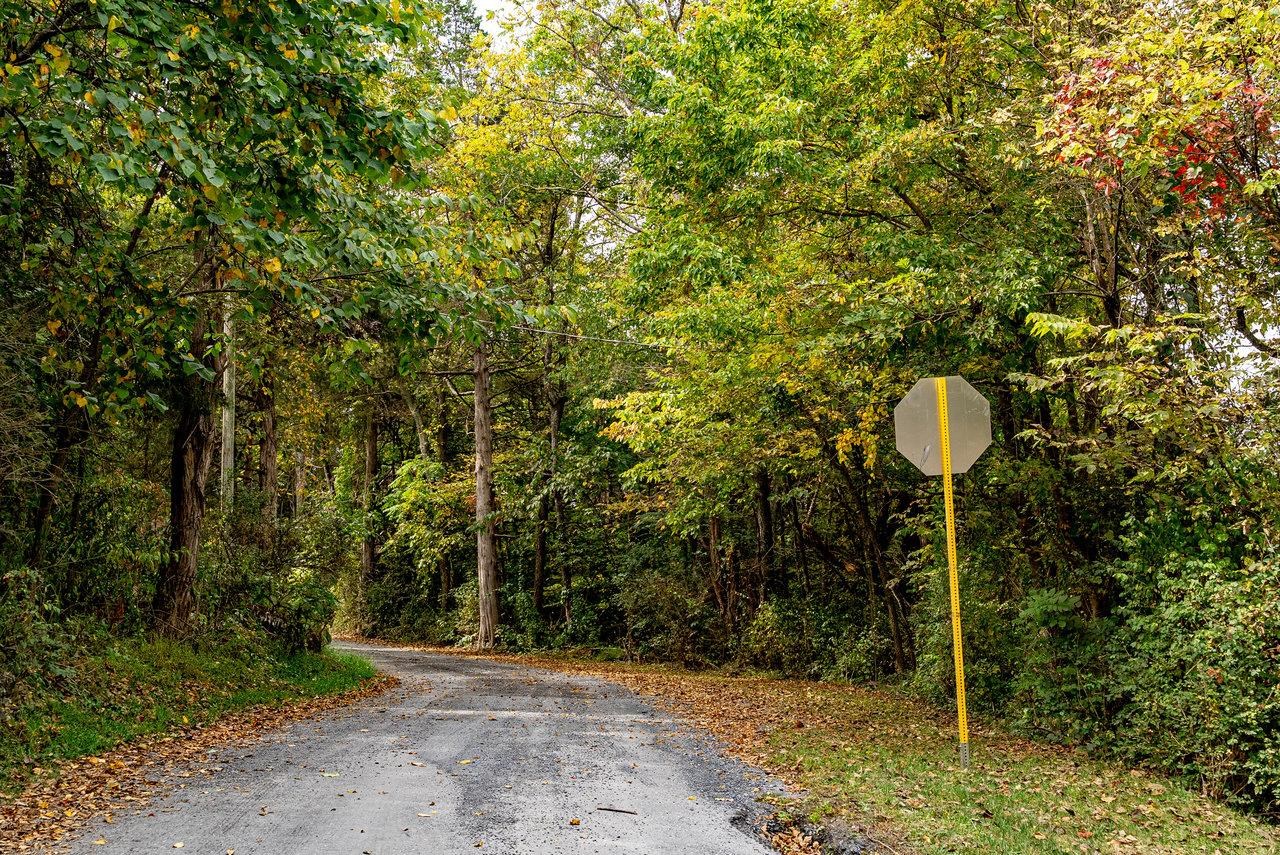TBD BALD ROCK RD, VERONA, Virginia 24482, ,Farm,TBD BALD ROCK RD,669541 MLS # 669541