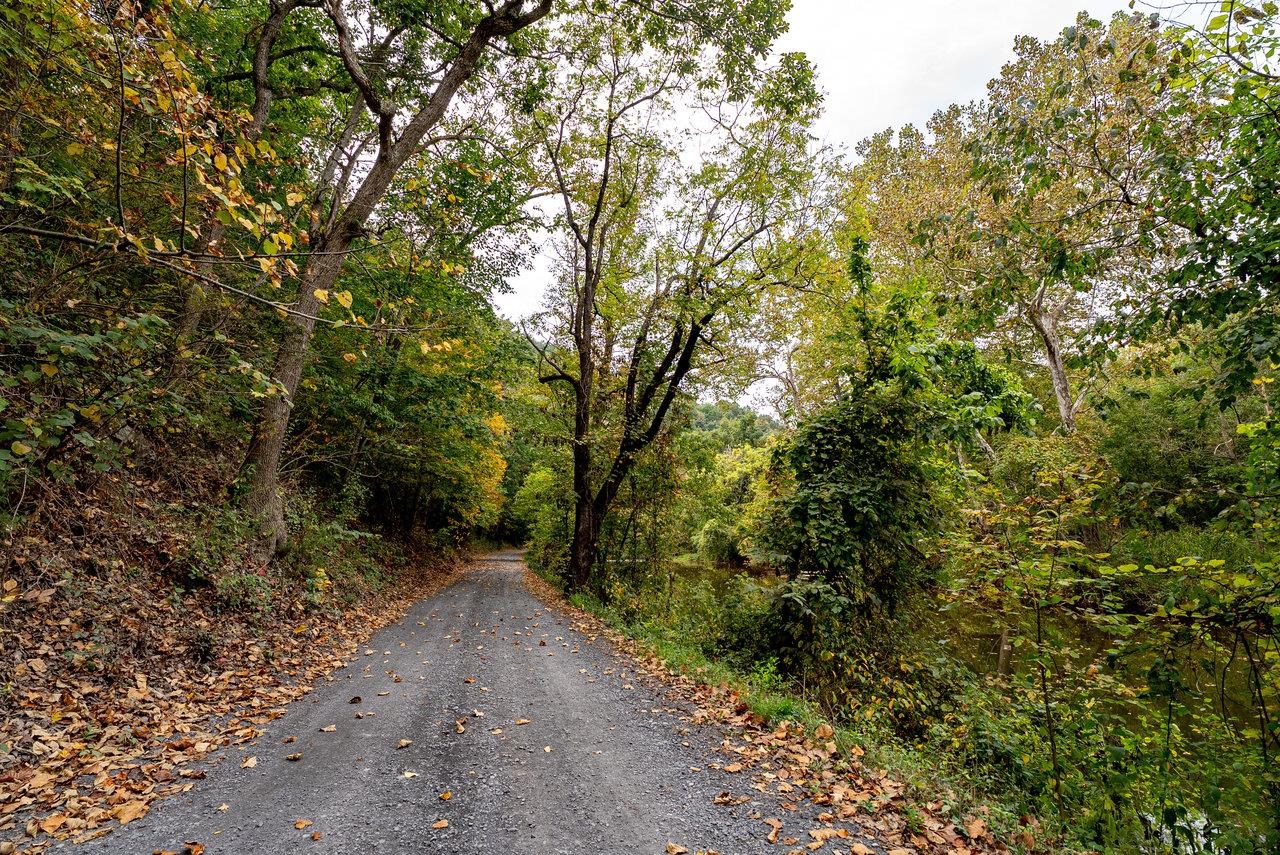 TBD BALD ROCK RD, VERONA, Virginia 24482, ,Farm,TBD BALD ROCK RD,669541 MLS # 669541