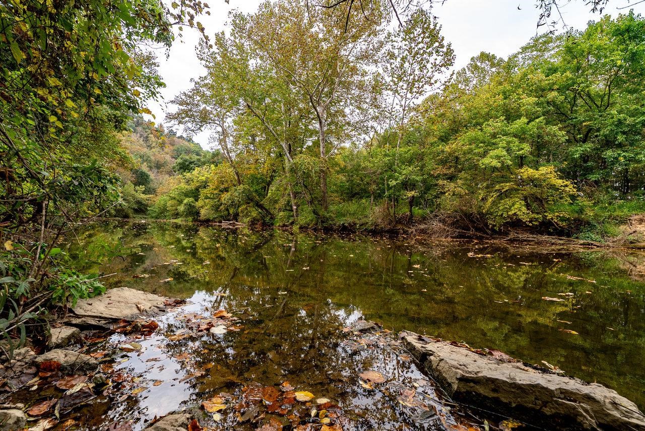 TBD BALD ROCK RD, VERONA, Virginia 24482, ,Farm,TBD BALD ROCK RD,669541 MLS # 669541