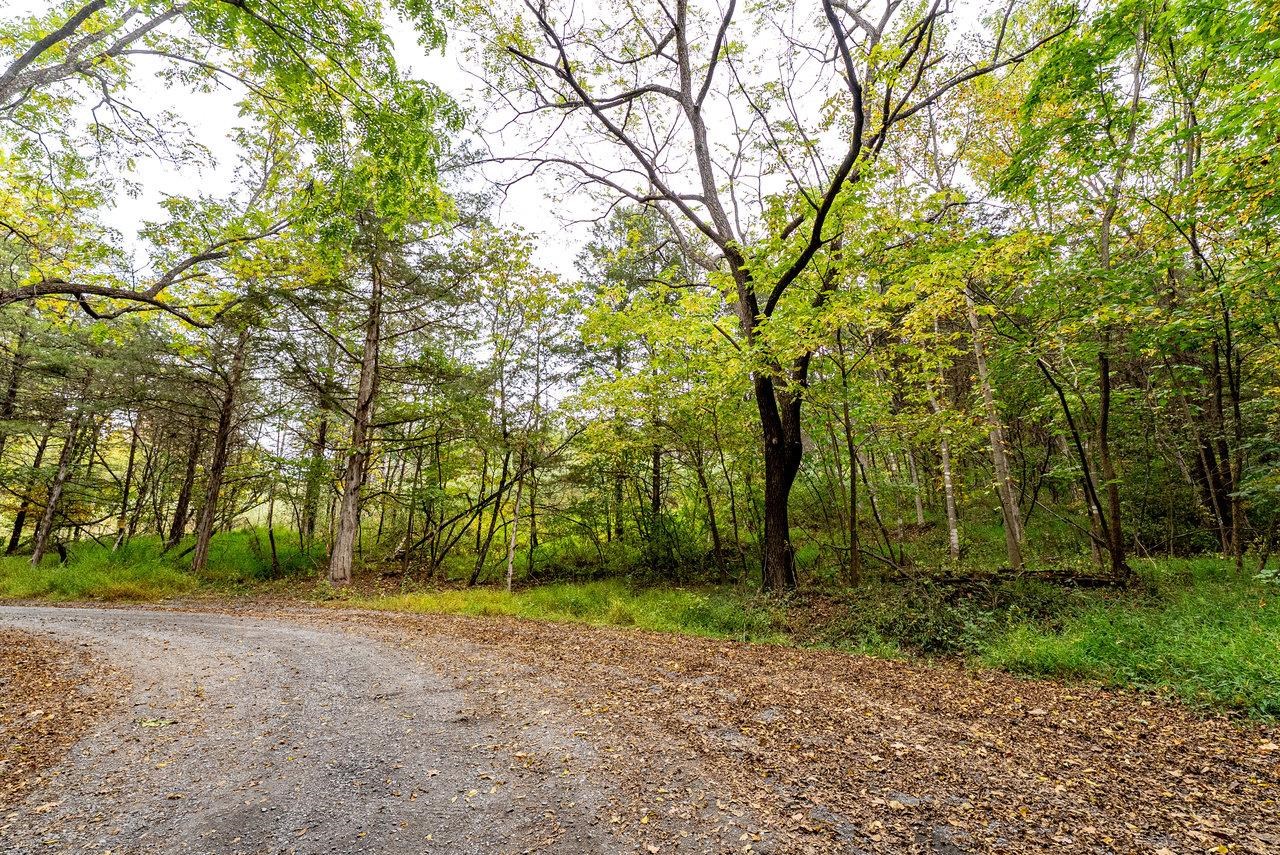 TBD BALD ROCK RD, VERONA, Virginia 24482, ,Farm,TBD BALD ROCK RD,669541 MLS # 669541