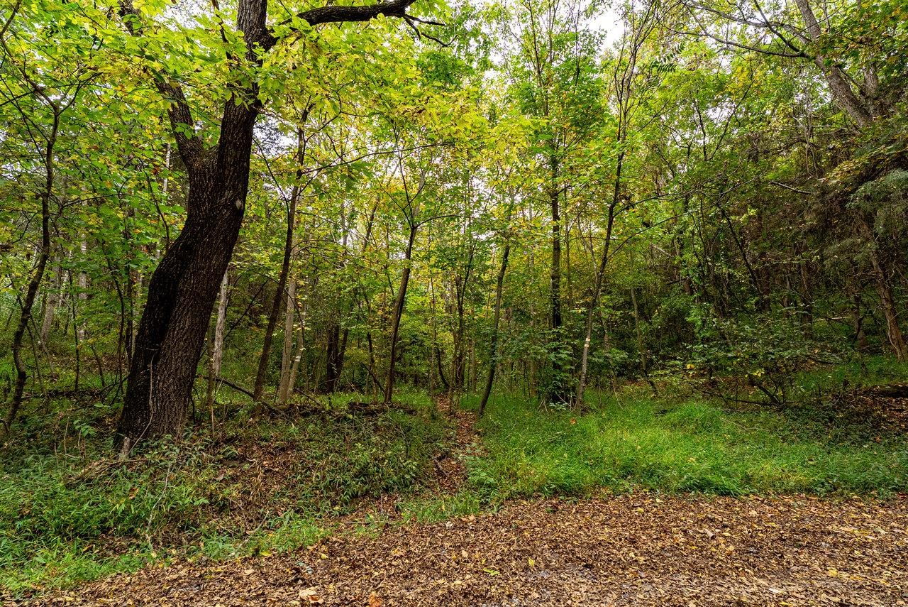 TBD BALD ROCK RD, VERONA, Virginia 24482, ,Farm,TBD BALD ROCK RD,669541 MLS # 669541