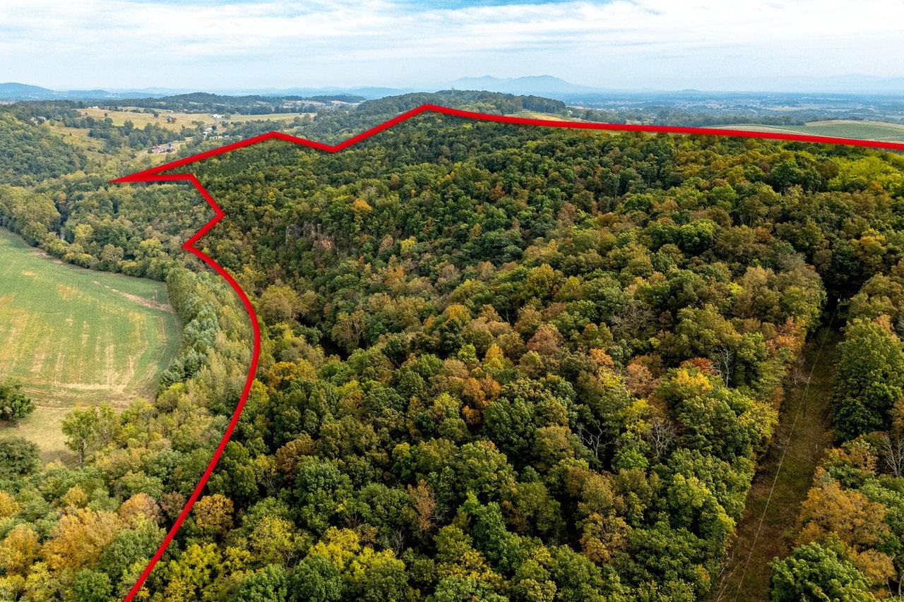 TBD BALD ROCK RD, VERONA, Virginia 24482, ,Farm,TBD BALD ROCK RD,669541 MLS # 669541