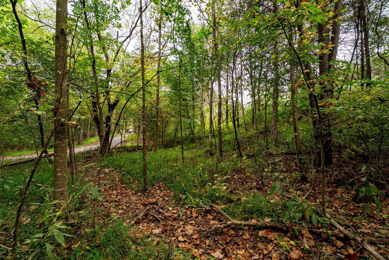 TBD BALD ROCK RD, VERONA, Virginia 24482, ,Farm,TBD BALD ROCK RD,669541 MLS # 669541