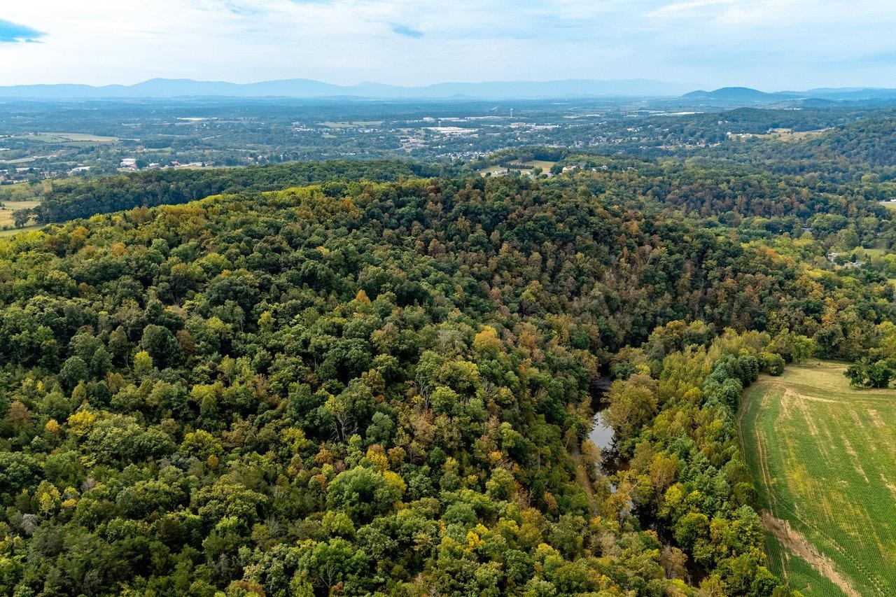 TBD BALD ROCK RD, VERONA, Virginia 24482, ,Farm,TBD BALD ROCK RD,669541 MLS # 669541