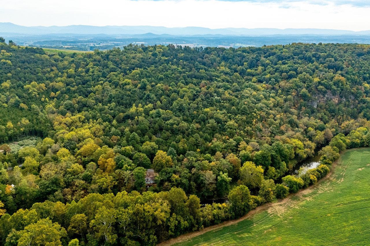 TBD BALD ROCK RD, VERONA, Virginia 24482, ,Farm,TBD BALD ROCK RD,669541 MLS # 669541