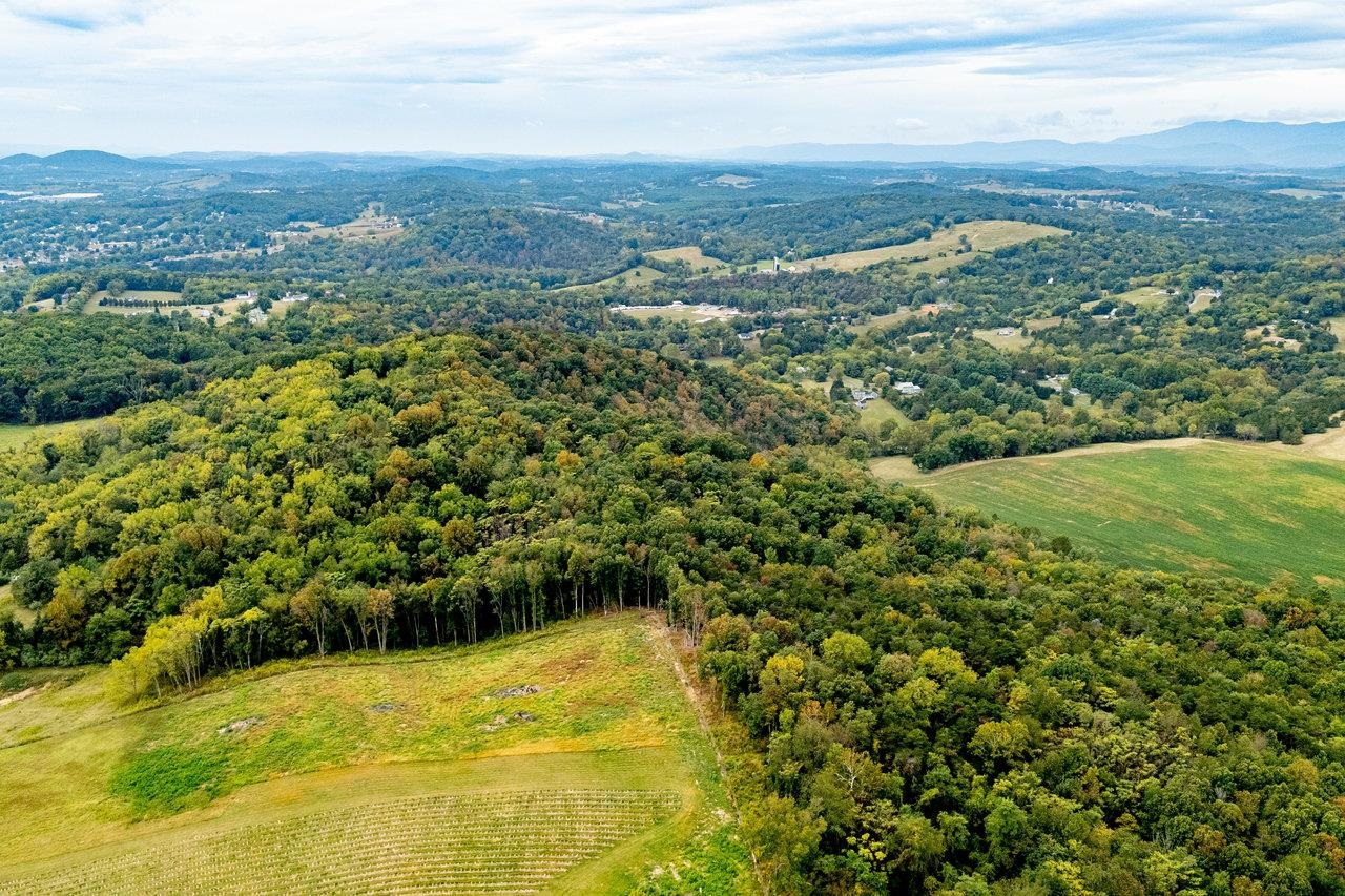TBD BALD ROCK RD, VERONA, Virginia 24482, ,Farm,TBD BALD ROCK RD,669541 MLS # 669541