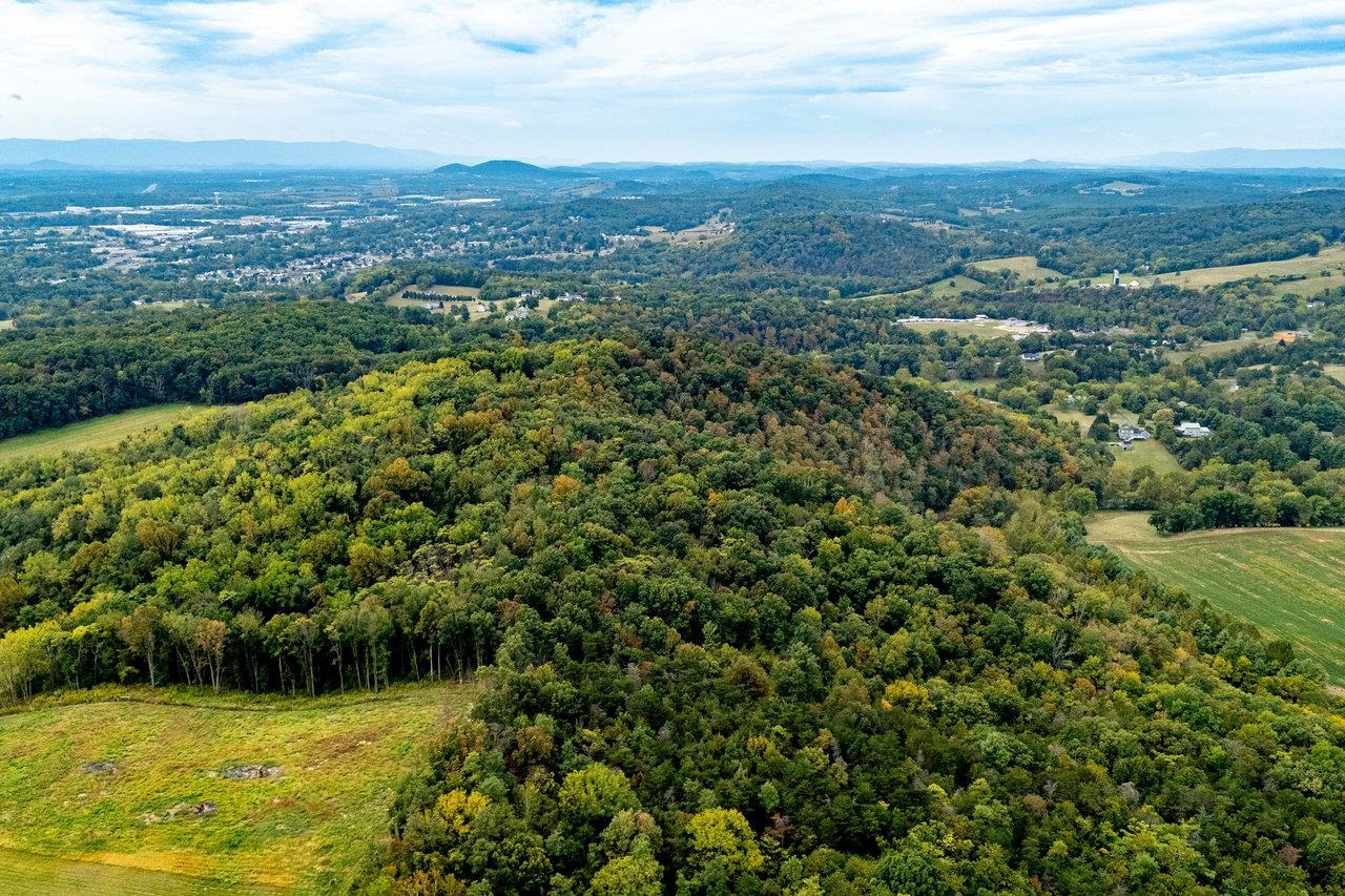 TBD BALD ROCK RD, VERONA, Virginia 24482, ,Farm,TBD BALD ROCK RD,669541 MLS # 669541