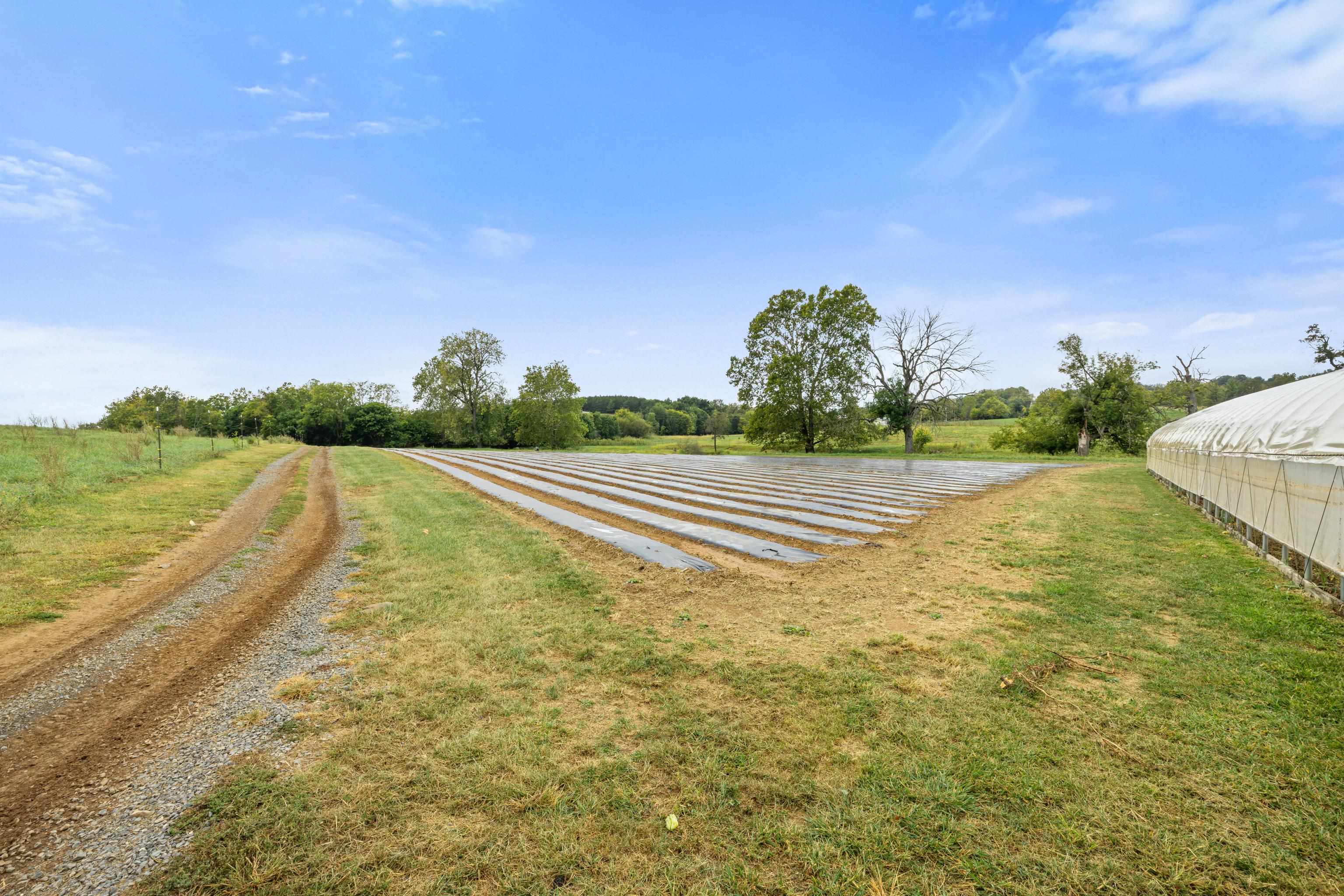 3930 CROMER RD, ROCKINGHAM, Virginia 22802, ,Commercial,3930 CROMER RD,669554 MLS # 669554