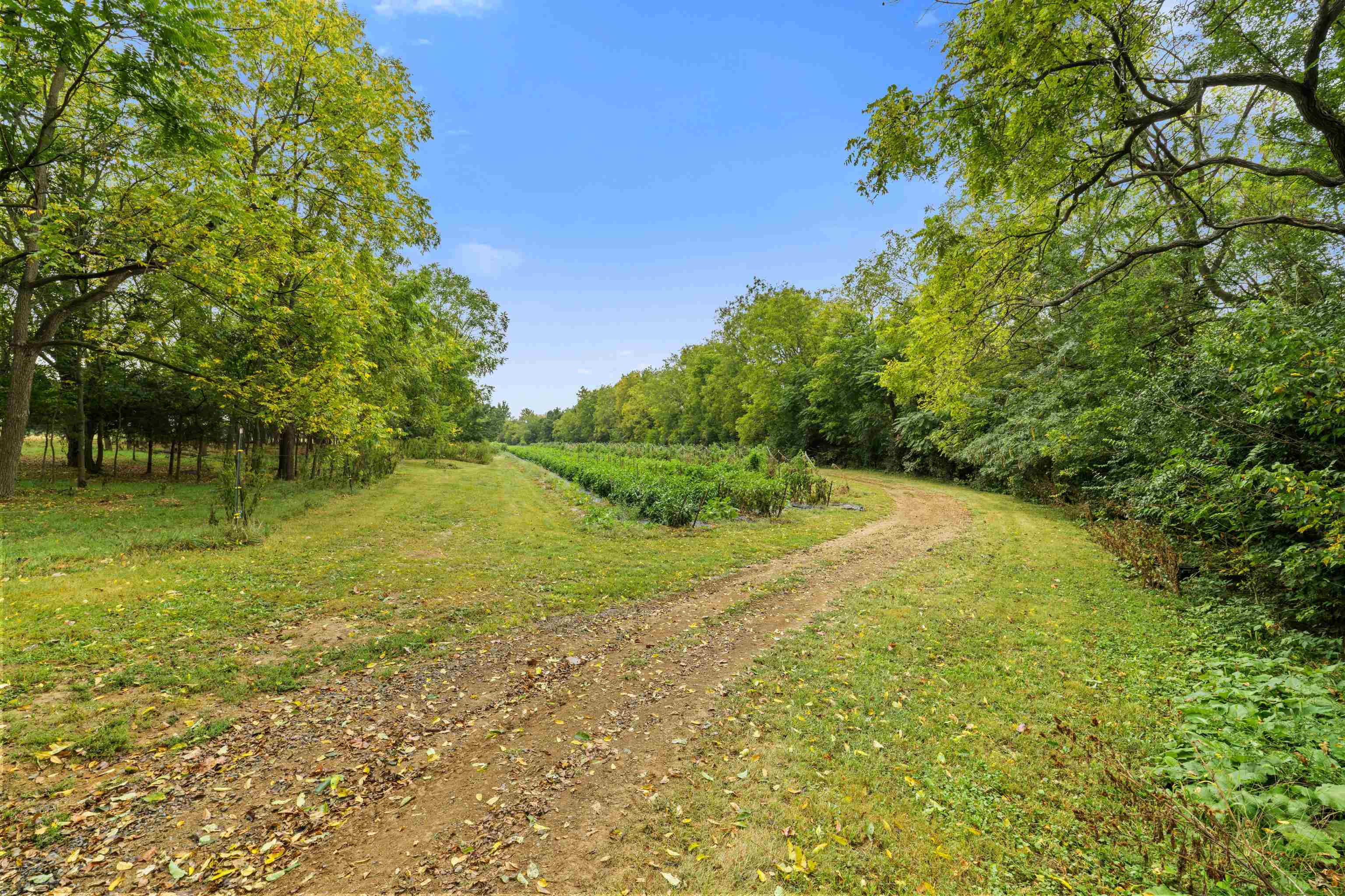 3930 CROMER RD, ROCKINGHAM, Virginia 22802, ,Commercial,3930 CROMER RD,669554 MLS # 669554