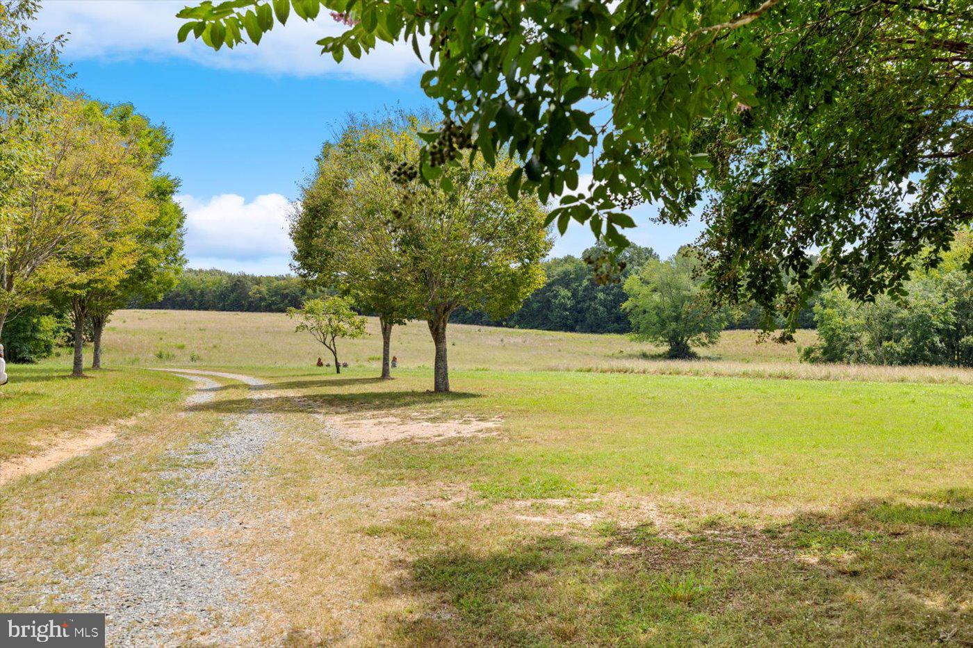 45 BOWLING FARM LN, FREDERICKSBURG, Virginia 22406, 4 Bedrooms Bedrooms, ,3 BathroomsBathrooms,Farm,For sale,45 BOWLING FARM LN,VAST2042768 MLS # VAST2042768
