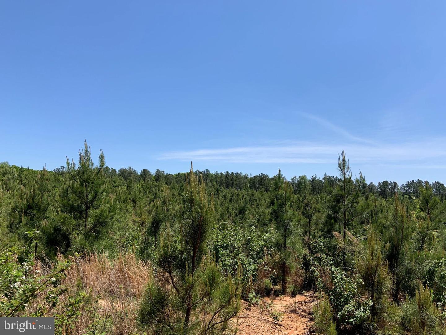 W POINT STEVENS ROAD (RT. 623) (TRACT: BK1443-1 ), DRAKES BRANCH, Virginia 23937, ,Farm,For sale,W POINT STEVENS ROAD (RT. 623) (TRACT: BK1443-1 ),VACE2000016 MLS # VACE2000016