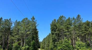 MOUNTAIN CREEK ROAD (TRACT: BK3208-1), MEHERRIN, Virginia 23954, ,Farm,For sale,MOUNTAIN CREEK ROAD (TRACT: BK3208-1),VAPE2000084 MLS # VAPE2000084