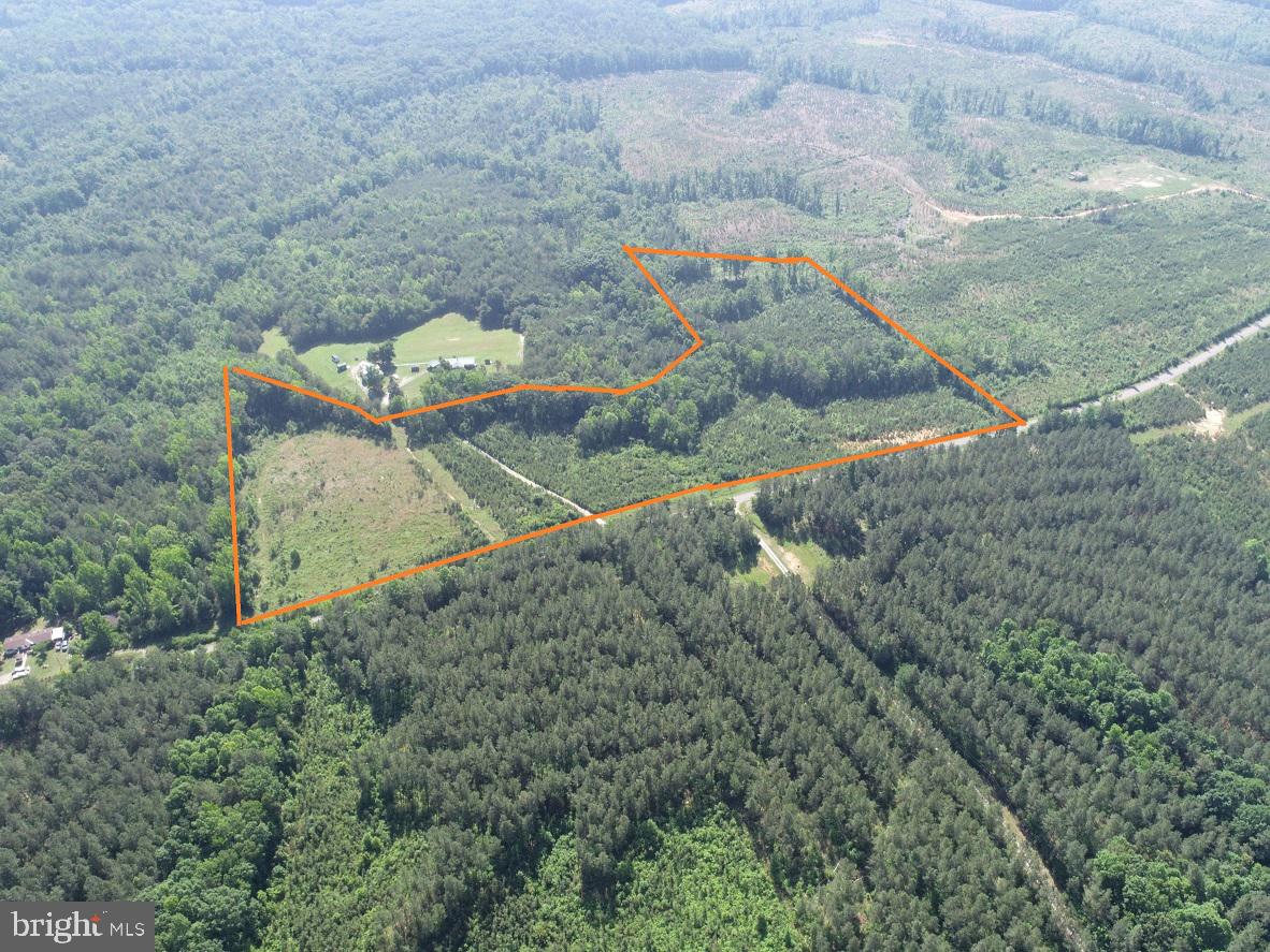 MOUNTAIN CREEK ROAD (RT. 628) (TRACT: BK3208-2), MEHERRIN, Virginia 23954, ,Land,For sale,MOUNTAIN CREEK ROAD (RT. 628) (TRACT: BK3208-2),VAPE2000086 MLS # VAPE2000086