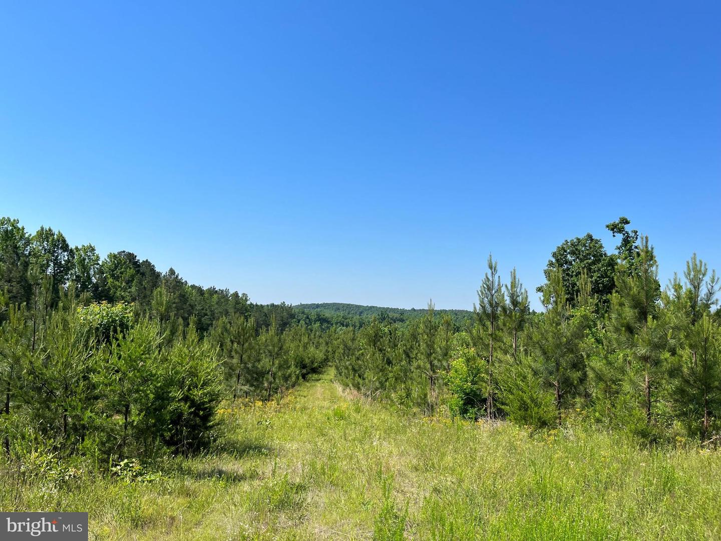 MOUNTAIN CREEK ROAD (RT. 628) (TRACT: BK3208-3), MEHERRIN, Virginia 23954, ,Farm,For sale,MOUNTAIN CREEK ROAD (RT. 628) (TRACT: BK3208-3),VAPE2000088 MLS # VAPE2000088