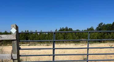 MOUNTAIN CREEK ROAD (RT. 628) (TRACT: BK3208-3), MEHERRIN, Virginia 23954, ,Farm,For sale,MOUNTAIN CREEK ROAD (RT. 628) (TRACT: BK3208-3),VAPE2000088 MLS # VAPE2000088