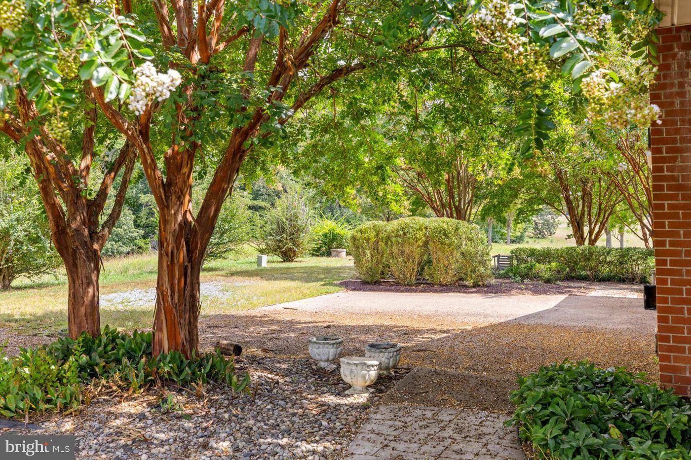 45 BOWLING FARM LN, FREDERICKSBURG, Virginia 22406, ,Farm,For sale,45 BOWLING FARM LN,VAST2042770 MLS # VAST2042770