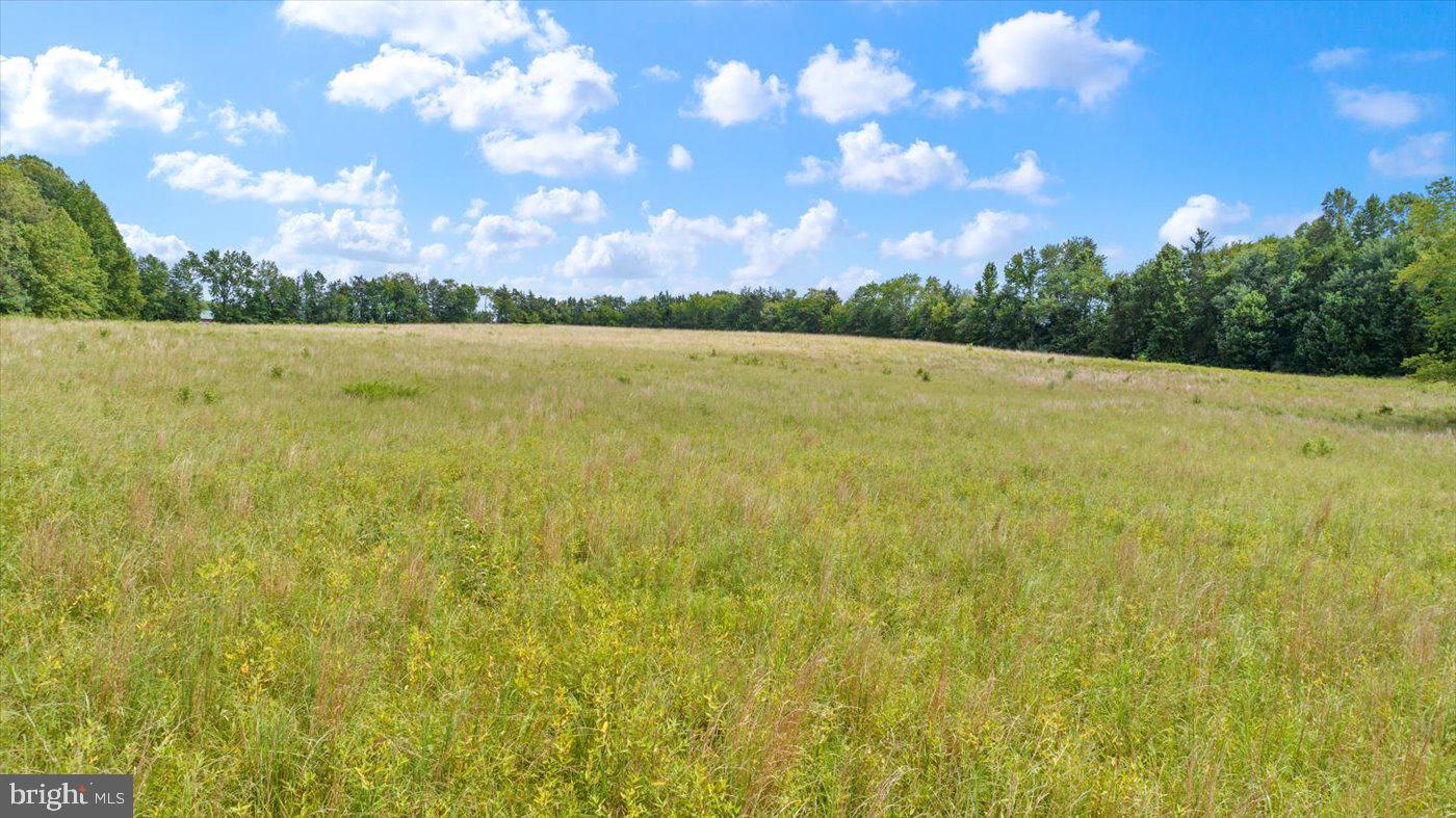 45 BOWLING FARM LN, FREDERICKSBURG, Virginia 22406, ,Farm,For sale,45 BOWLING FARM LN,VAST2042770 MLS # VAST2042770