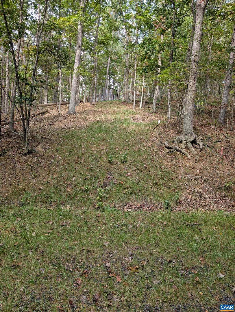 0 FAIRWAY DR, BASYE, Virginia 22810, ,Land,For sale,0 FAIRWAY DR,669558 MLS # 669558 0 FAIRWAY DR, BASYE, Virginia 22810, ,Land,For sale,0 FAIRWAY DR,669558 MLS # 669558