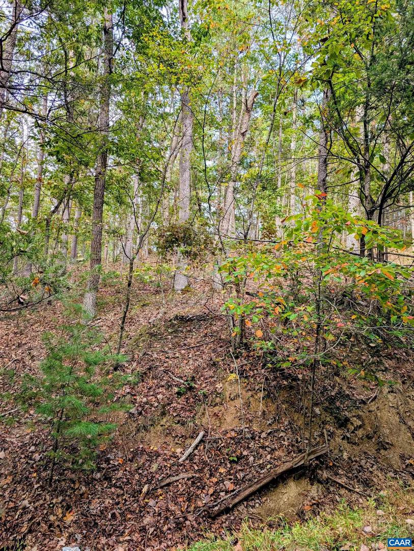 0 FAIRWAY DR, BASYE, Virginia 22810, ,Land,For sale,0 FAIRWAY DR,669558 MLS # 669558 0 FAIRWAY DR, BASYE, Virginia 22810, ,Land,For sale,0 FAIRWAY DR,669558 MLS # 669558