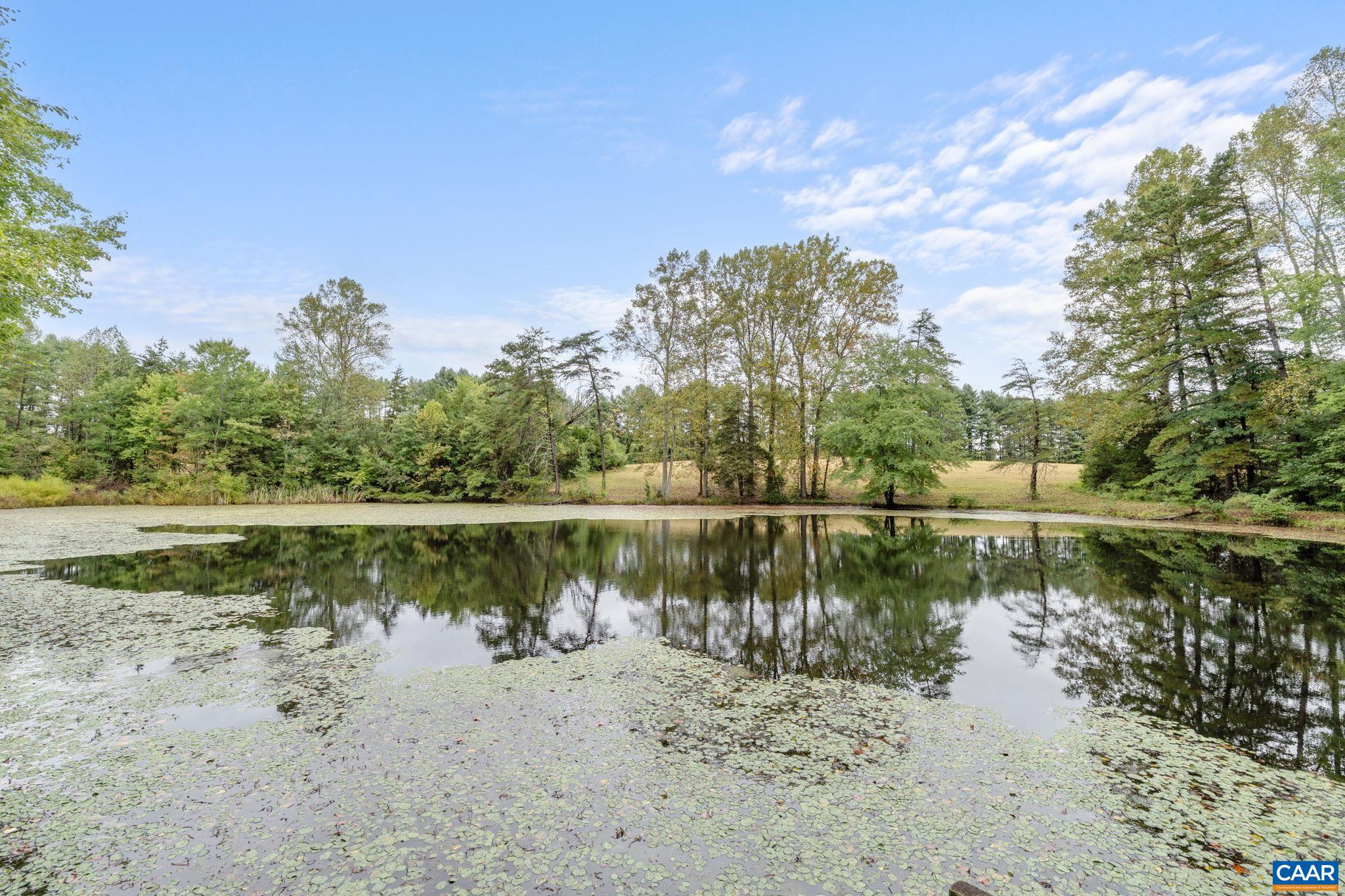 710 SHARPS CREEK RD, SCOTTSVILLE, Virginia 24590, 4 Bedrooms Bedrooms, ,3 BathroomsBathrooms,Residential,Hunter Woods,710 SHARPS CREEK RD,668803 MLS # 668803