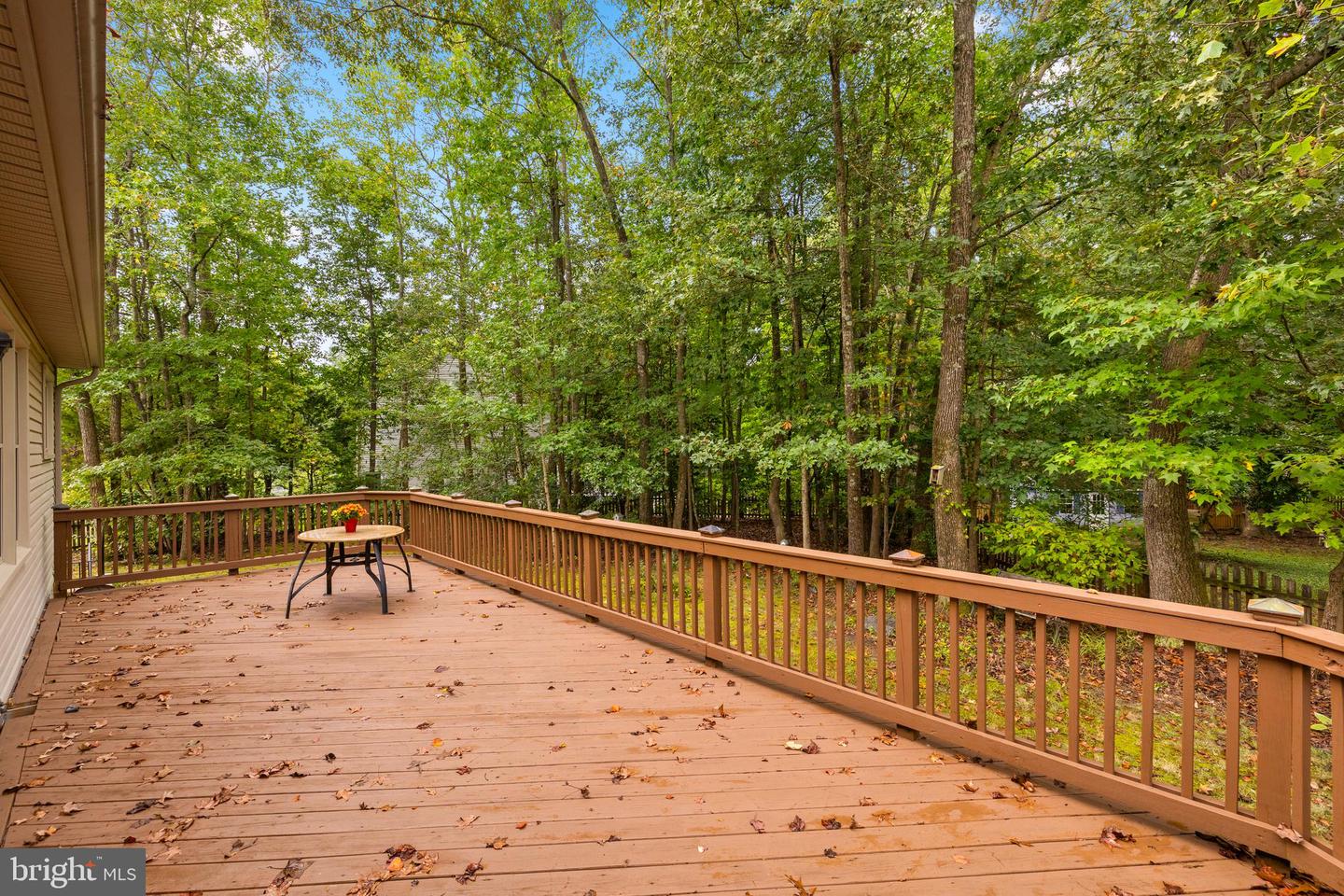 6100 THAYER ST, FREDERICKSBURG, Virginia 22407, 4 Bedrooms Bedrooms, 14 Rooms Rooms,2 BathroomsBathrooms,Residential,For sale,6100 THAYER ST,VASP2035690 MLS # VASP2035690 6100 THAYER ST, FREDERICKSBURG, Virginia 22407, 4 Bedrooms Bedrooms, 14 Rooms Rooms,2 BathroomsBathrooms,Residential,For sale,6100 THAYER ST,VASP2035690 MLS # VASP2035690