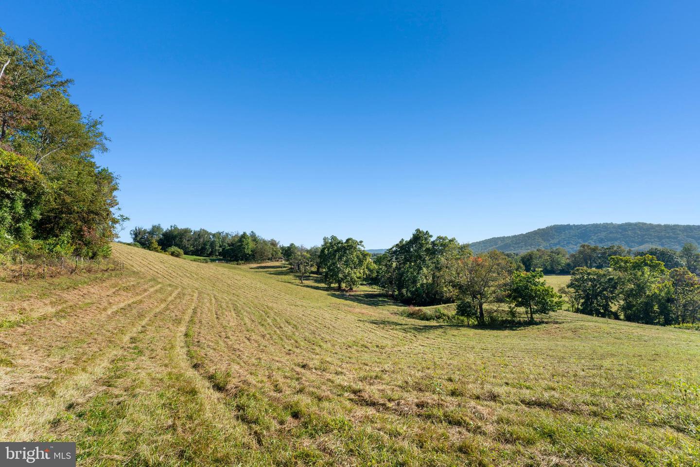 439 RUDASILL MILL RD, WOODVILLE, Virginia 22749, 1 Bedroom Bedrooms, ,2 BathroomsBathrooms,Residential,For sale,439 RUDASILL MILL RD,VARP2002268 MLS # VARP2002268