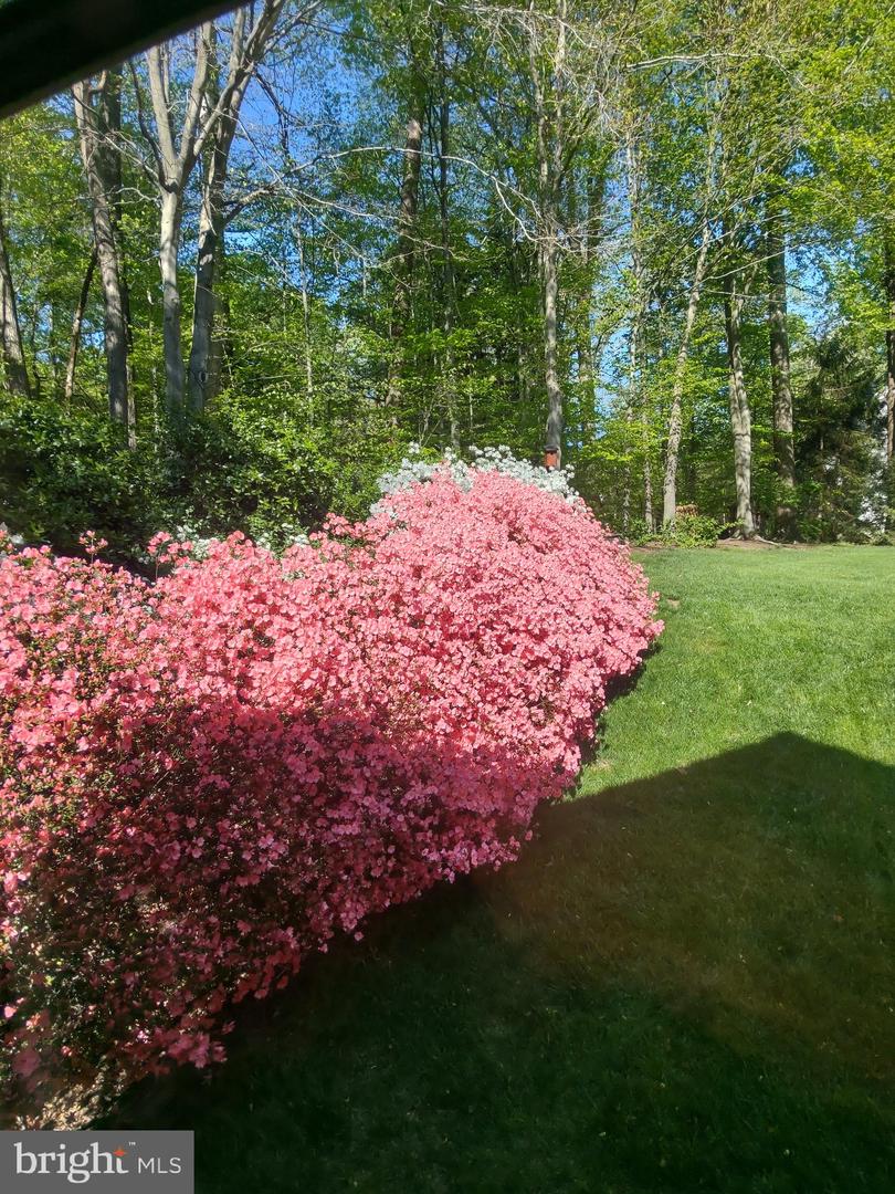 6805 OLD STONE FENCE RD, FAIRFAX STATION, Virginia 22039, 4 Bedrooms Bedrooms, ,3 BathroomsBathrooms,Residential,For sale,6805 OLD STONE FENCE RD,VAFX2268436 MLS # VAFX2268436