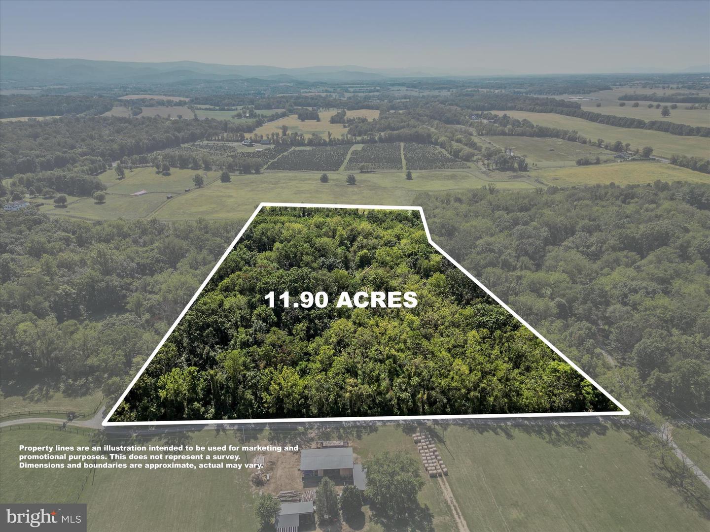 616 CHESTNUT LN, BERRYVILLE, Virginia 22611, 2 Bedrooms Bedrooms, ,3 BathroomsBathrooms,Residential,For sale,616 CHESTNUT LN,VACL2006096 MLS # VACL2006096