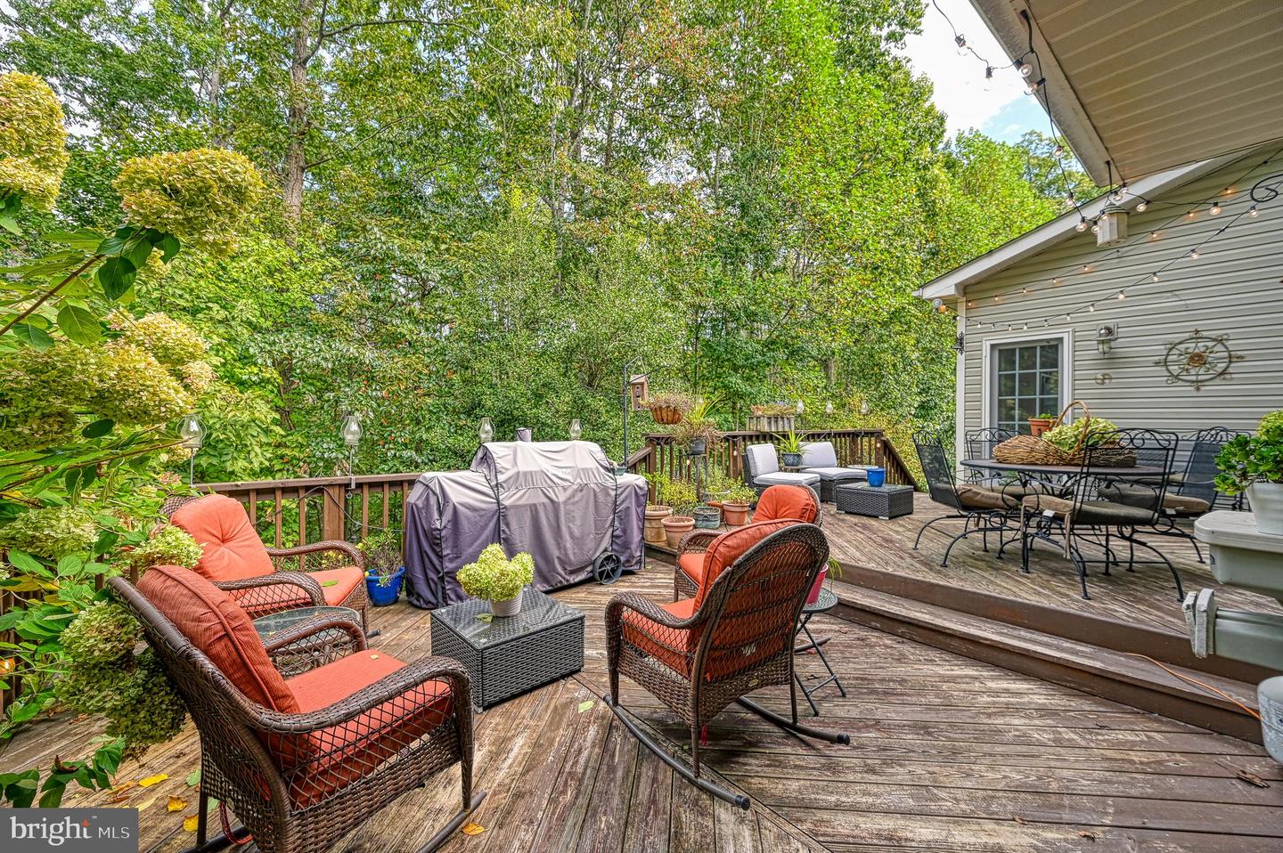 5 HUNT HAVEN, MINERAL, Virginia 23117, 4 Bedrooms Bedrooms, ,2 BathroomsBathrooms,Residential,For sale,5 HUNT HAVEN,VALA2008644 MLS # VALA2008644