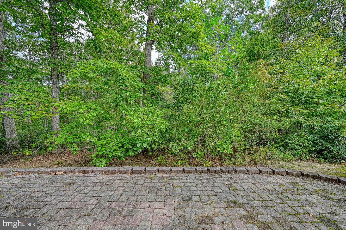 5 HUNT HAVEN, MINERAL, Virginia 23117, 4 Bedrooms Bedrooms, ,2 BathroomsBathrooms,Residential,For sale,5 HUNT HAVEN,VALA2008644 MLS # VALA2008644
