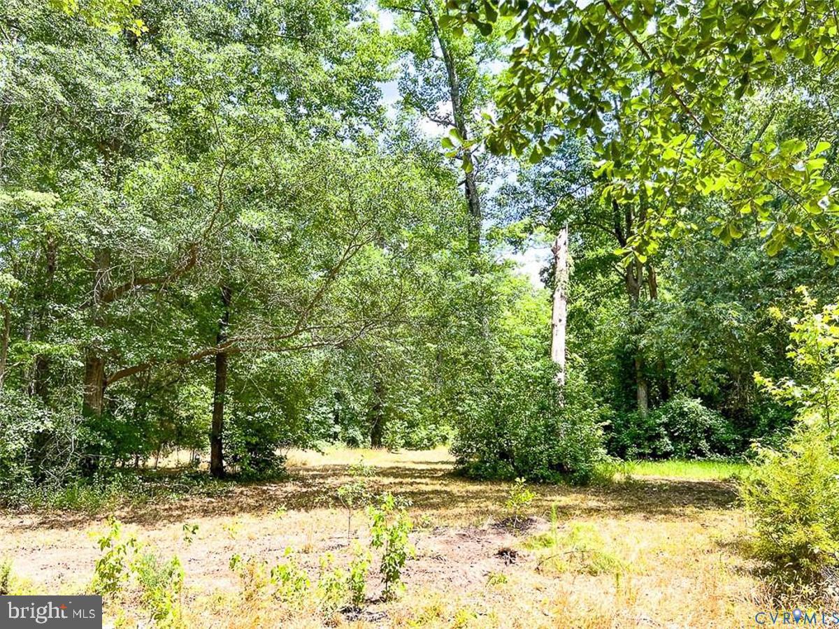 1601 RAILWAY LN, LANEXA, Virginia 23089, ,Land,For sale,1601 RAILWAY LN,VANK2000112 MLS # VANK2000112