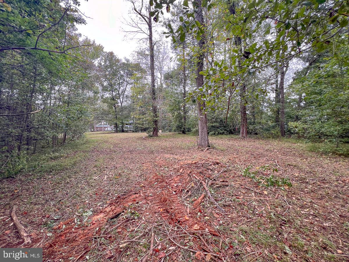 1601 RAILWAY LN, LANEXA, Virginia 23089, ,Land,For sale,1601 RAILWAY LN,VANK2000112 MLS # VANK2000112
