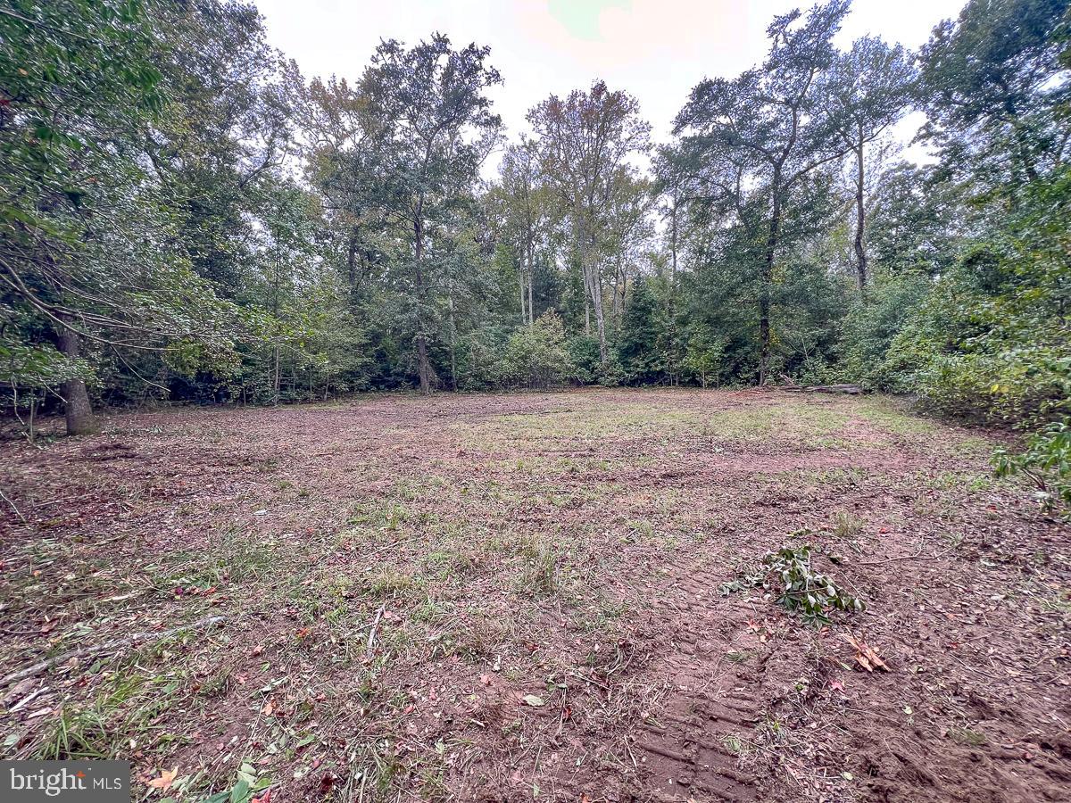 1601 RAILWAY LN, LANEXA, Virginia 23089, ,Land,For sale,1601 RAILWAY LN,VANK2000112 MLS # VANK2000112