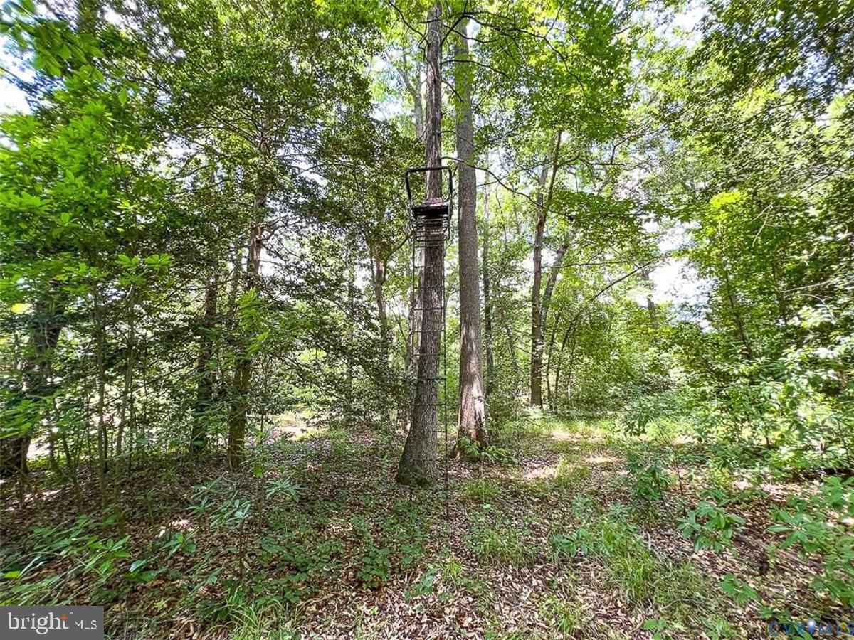 1601 RAILWAY LN, LANEXA, Virginia 23089, ,Land,For sale,1601 RAILWAY LN,VANK2000112 MLS # VANK2000112