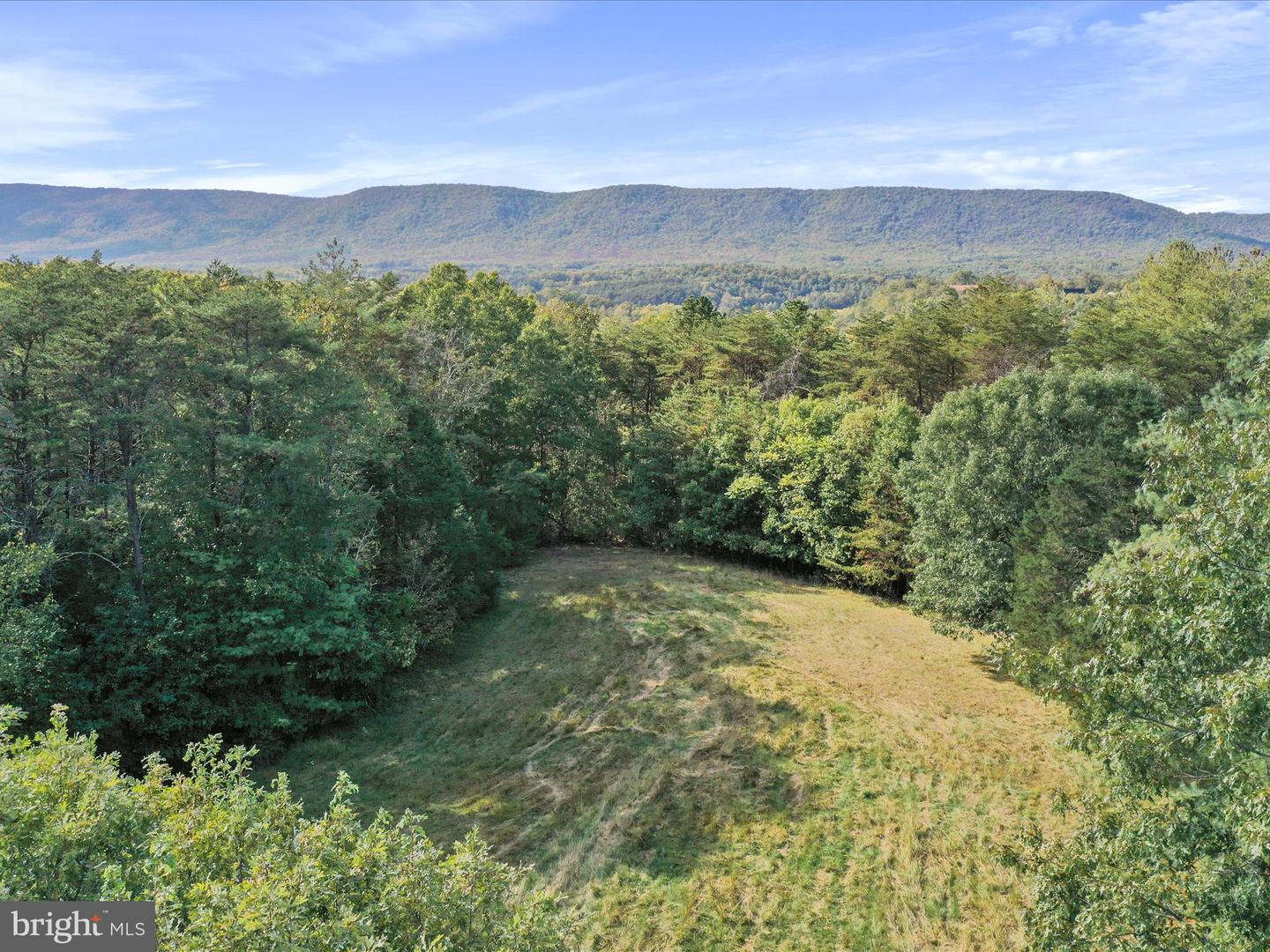 574 MOUNTAIN SLOPE LANE, FORT VALLEY, Virginia 22652, ,Land,For sale,574 MOUNTAIN SLOPE LANE,VASH2012658 MLS # VASH2012658