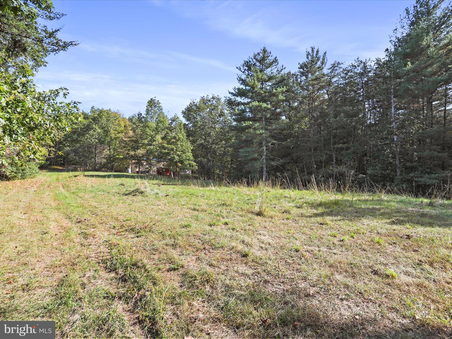 574 MOUNTAIN SLOPE LANE, FORT VALLEY, Virginia 22652, ,Land,For sale,574 MOUNTAIN SLOPE LANE,VASH2012658 MLS # VASH2012658