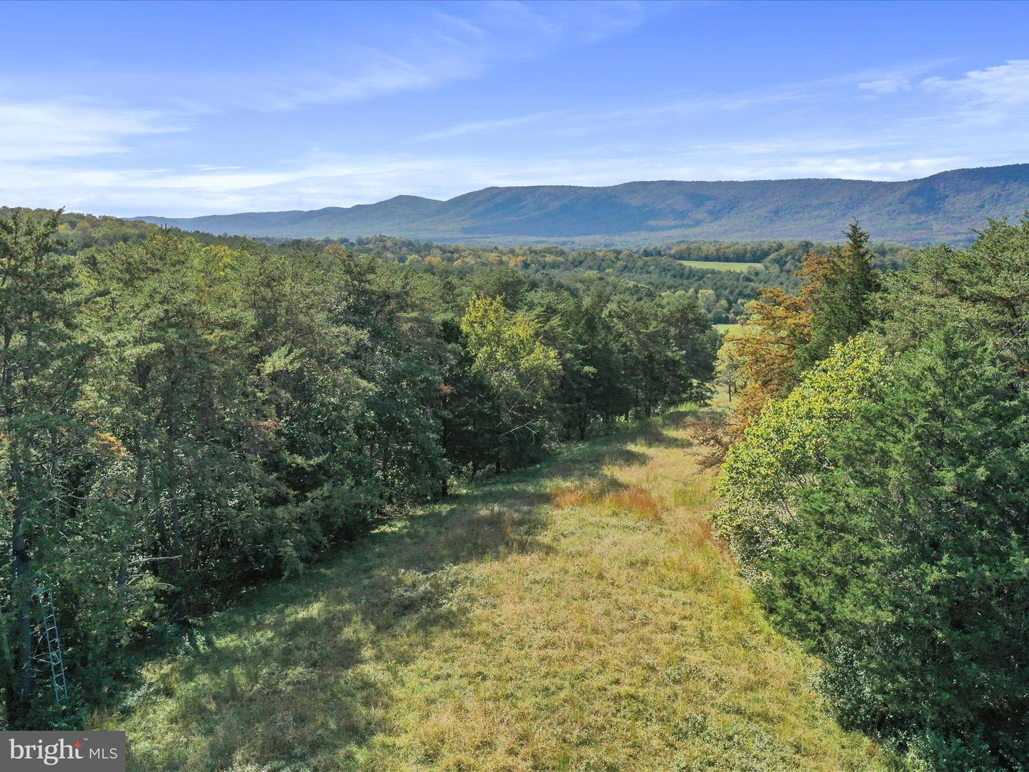 574 MOUNTAIN SLOPE LANE, FORT VALLEY, Virginia 22652, ,Land,For sale,574 MOUNTAIN SLOPE LANE,VASH2012658 MLS # VASH2012658