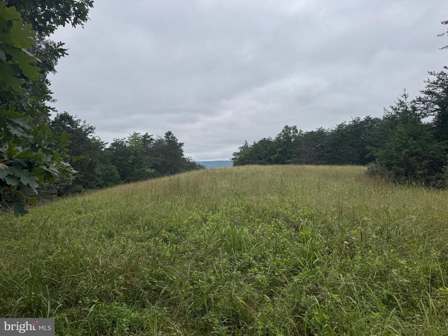 574 MOUNTAIN SLOPE LANE, FORT VALLEY, Virginia 22652, ,Land,For sale,574 MOUNTAIN SLOPE LANE,VASH2012658 MLS # VASH2012658