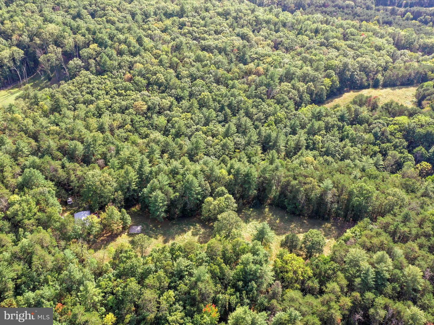 574 MOUNTAIN SLOPE LANE, FORT VALLEY, Virginia 22652, ,Land,For sale,574 MOUNTAIN SLOPE LANE,VASH2012658 MLS # VASH2012658