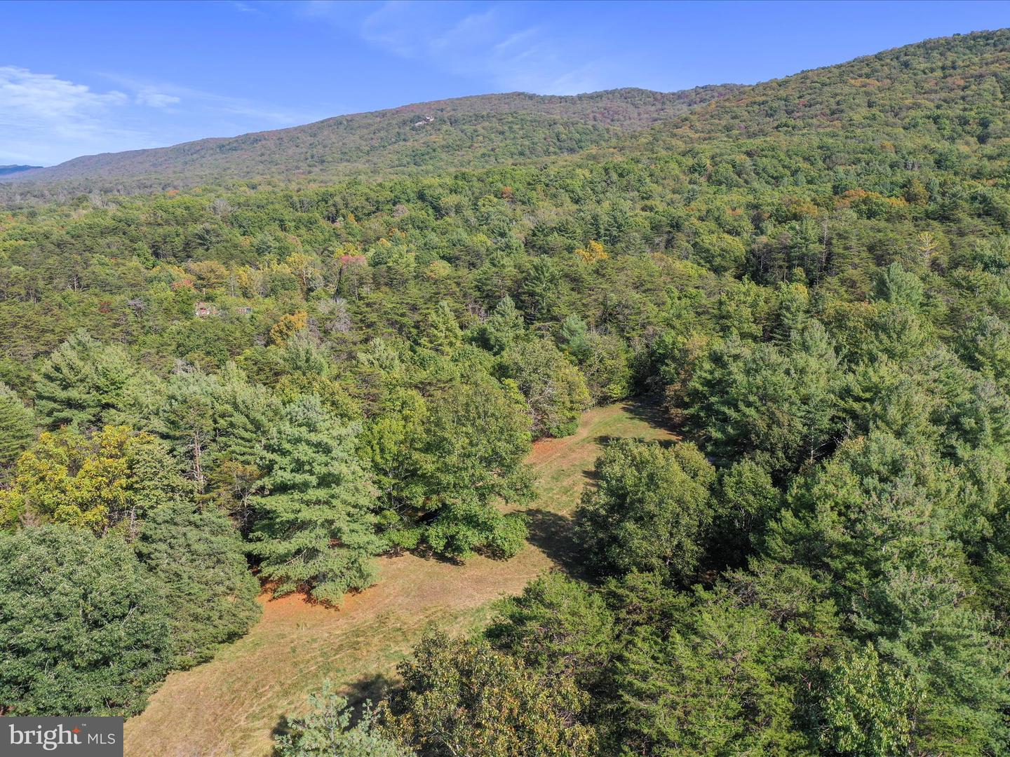 574 MOUNTAIN SLOPE LANE, FORT VALLEY, Virginia 22652, ,Land,For sale,574 MOUNTAIN SLOPE LANE,VASH2012658 MLS # VASH2012658