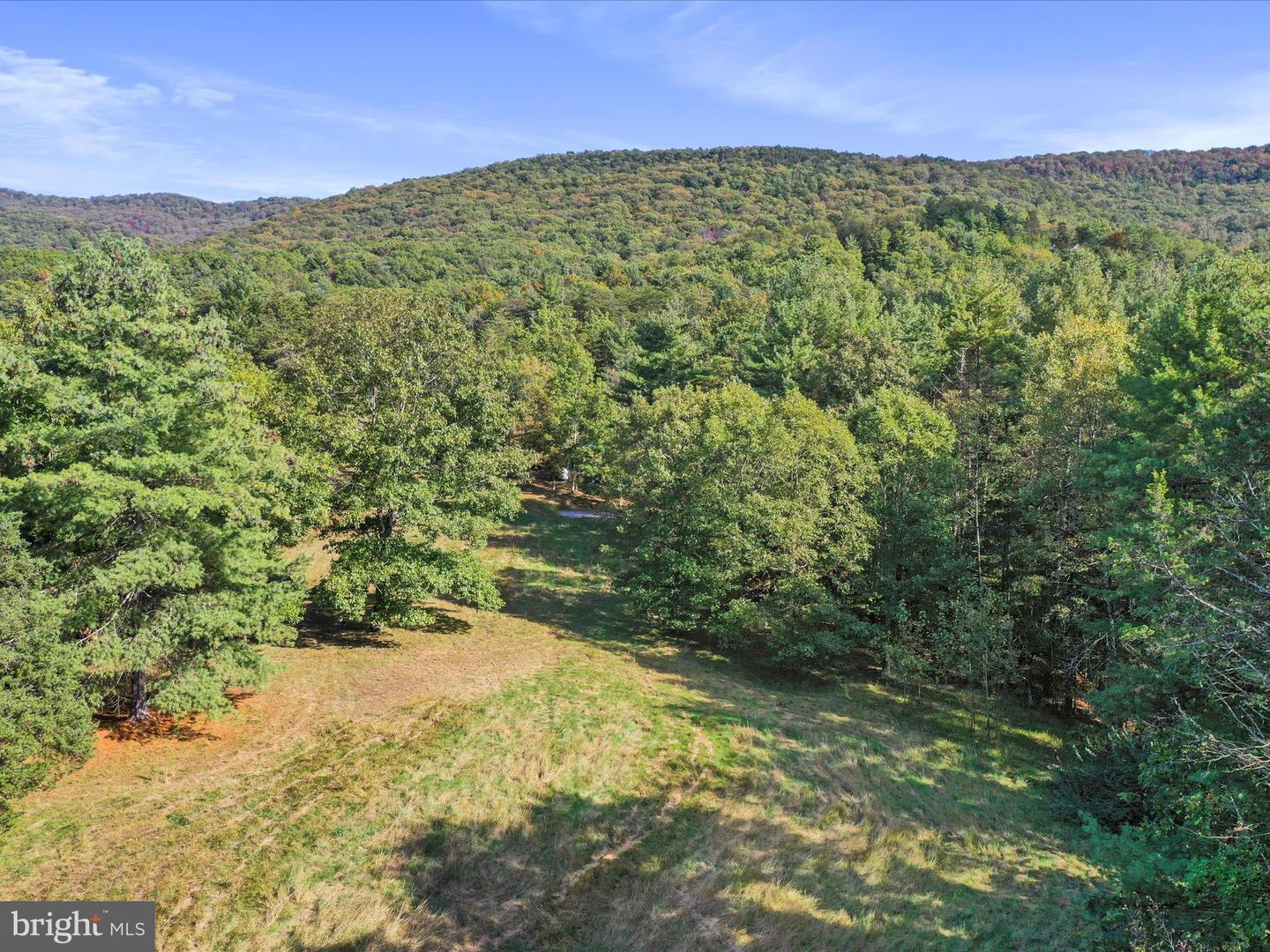 574 MOUNTAIN SLOPE LANE, FORT VALLEY, Virginia 22652, ,Land,For sale,574 MOUNTAIN SLOPE LANE,VASH2012658 MLS # VASH2012658