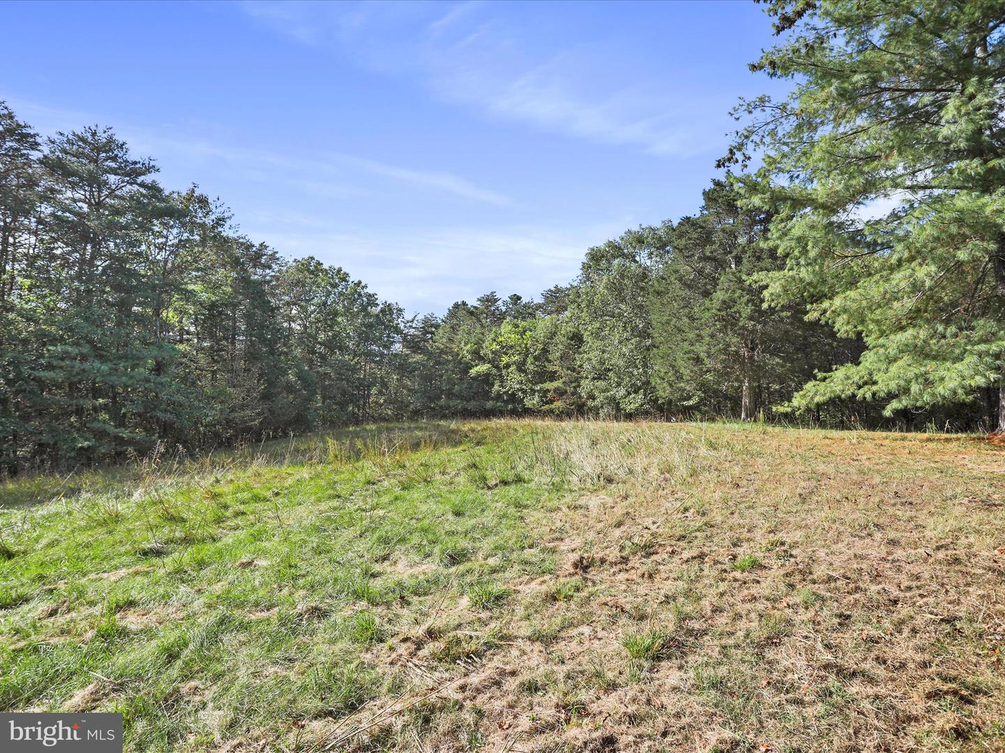 574 MOUNTAIN SLOPE LANE, FORT VALLEY, Virginia 22652, ,Land,For sale,574 MOUNTAIN SLOPE LANE,VASH2012658 MLS # VASH2012658