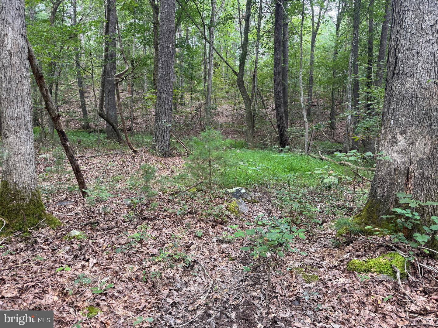 574 MOUNTAIN SLOPE LANE, FORT VALLEY, Virginia 22652, ,Land,For sale,574 MOUNTAIN SLOPE LANE,VASH2012658 MLS # VASH2012658