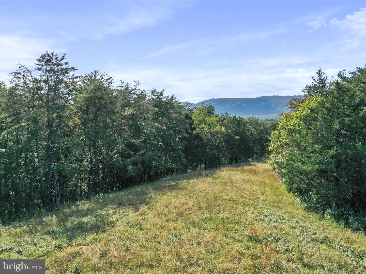 574 MOUNTAIN SLOPE LANE, FORT VALLEY, Virginia 22652, ,Land,For sale,574 MOUNTAIN SLOPE LANE,VASH2012658 MLS # VASH2012658