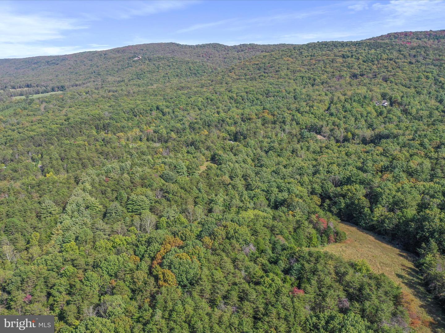 574 MOUNTAIN SLOPE LANE, FORT VALLEY, Virginia 22652, ,Land,For sale,574 MOUNTAIN SLOPE LANE,VASH2012658 MLS # VASH2012658
