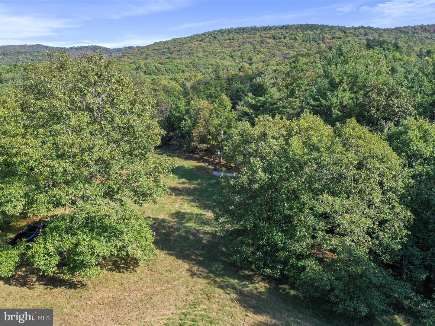 574 MOUNTAIN SLOPE LANE, FORT VALLEY, Virginia 22652, ,Land,For sale,574 MOUNTAIN SLOPE LANE,VASH2012658 MLS # VASH2012658
