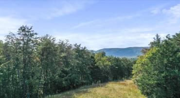 574 MOUNTAIN SLOPE LANE, FORT VALLEY, Virginia 22652, ,Land,For sale,574 MOUNTAIN SLOPE LANE,VASH2012658 MLS # VASH2012658